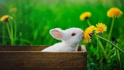 华南理工大学校内发生车祸致一死一伤，目击者发声