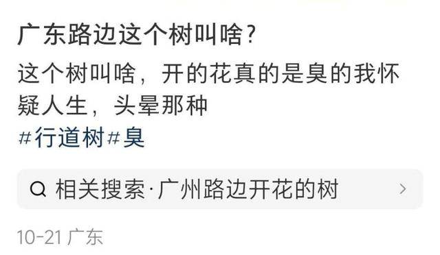 “臭到怀疑人生”!广东街头再次出现“风油精炒排骨”的味道,到底是什么?