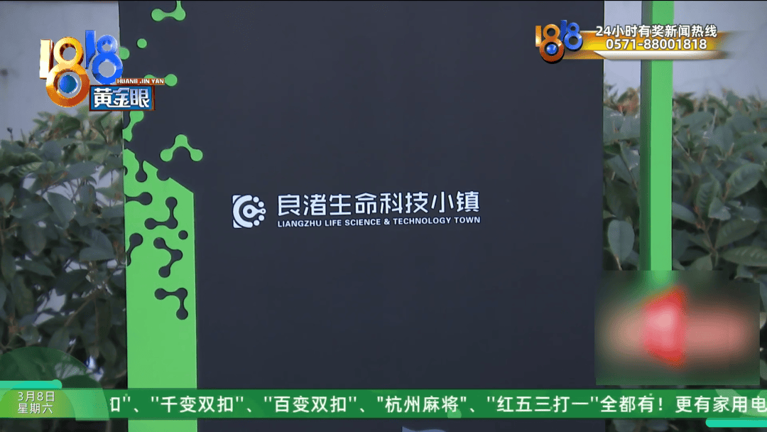 杭州男子投资10万拍短剧，剧播了，他却惊呼“被骗了”