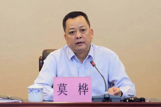 受贿超1亿！广西玉林市委原书记莫桦被判无期