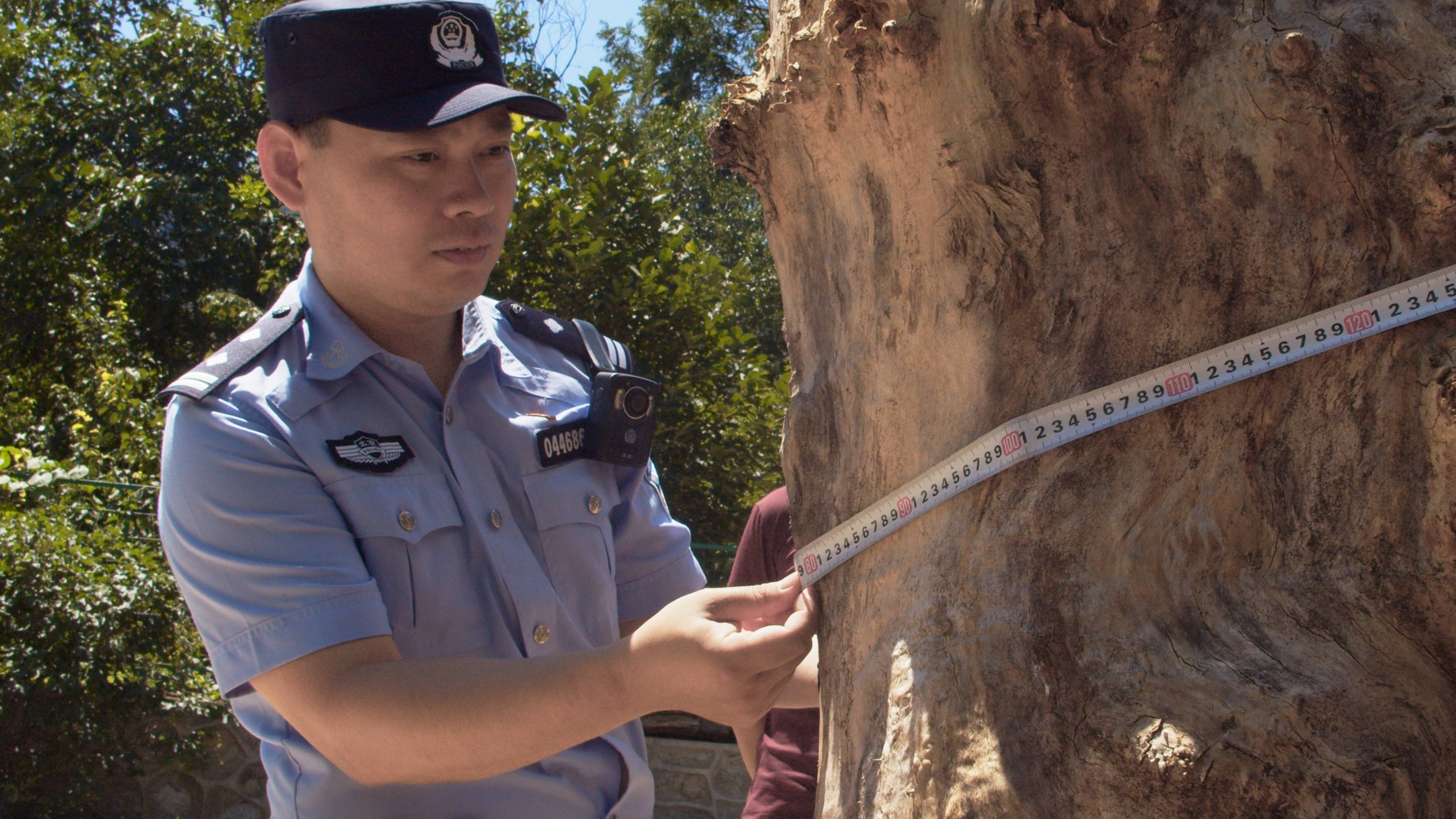 森林警察韩孟祺:乔装成驴友潜伏密林中,抓获“粘鸟”嫌疑人