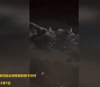 击落F-16？俘虏巴基斯坦飞行员？为啥印度媒体都宣传印度赢了？