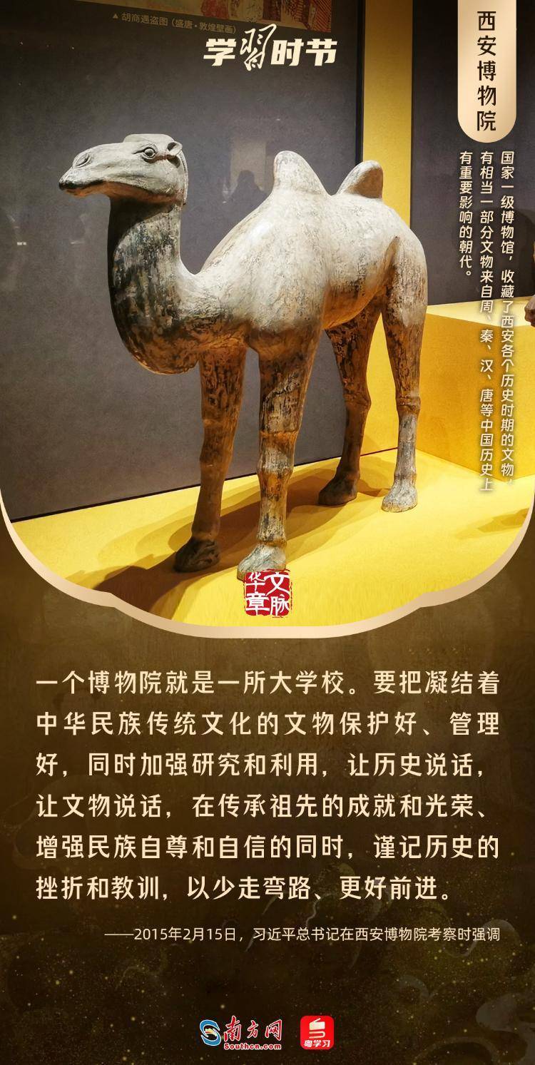 文脉华章丨暑期“博物馆热”，跟着总书记探寻中华文明