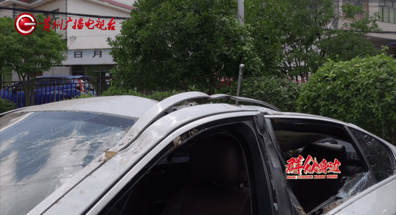 贵阳一700年古树砸扁“宝马”，现场惨不忍睹，林业局：车主他也有错