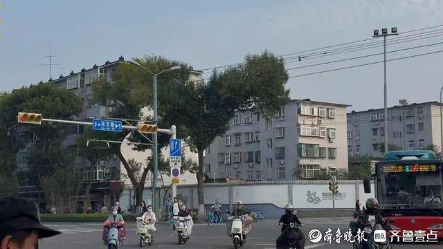 济南街头“恐龙树”走红,园林部门:形态天成,或随天气而变