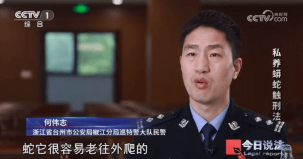 浙江男子在家里养300多条蟒蛇，涉案3000万，抓蛇现场，民警直呼毛骨悚然；男子：太痴迷了，感觉自己在造物