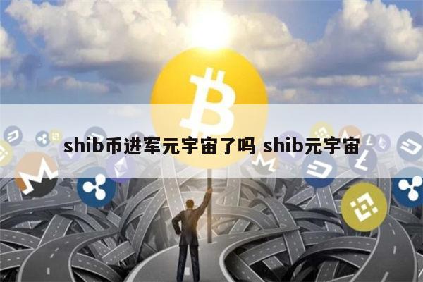 shib币为什么一直跌(shib币这几天为什么暴涨)