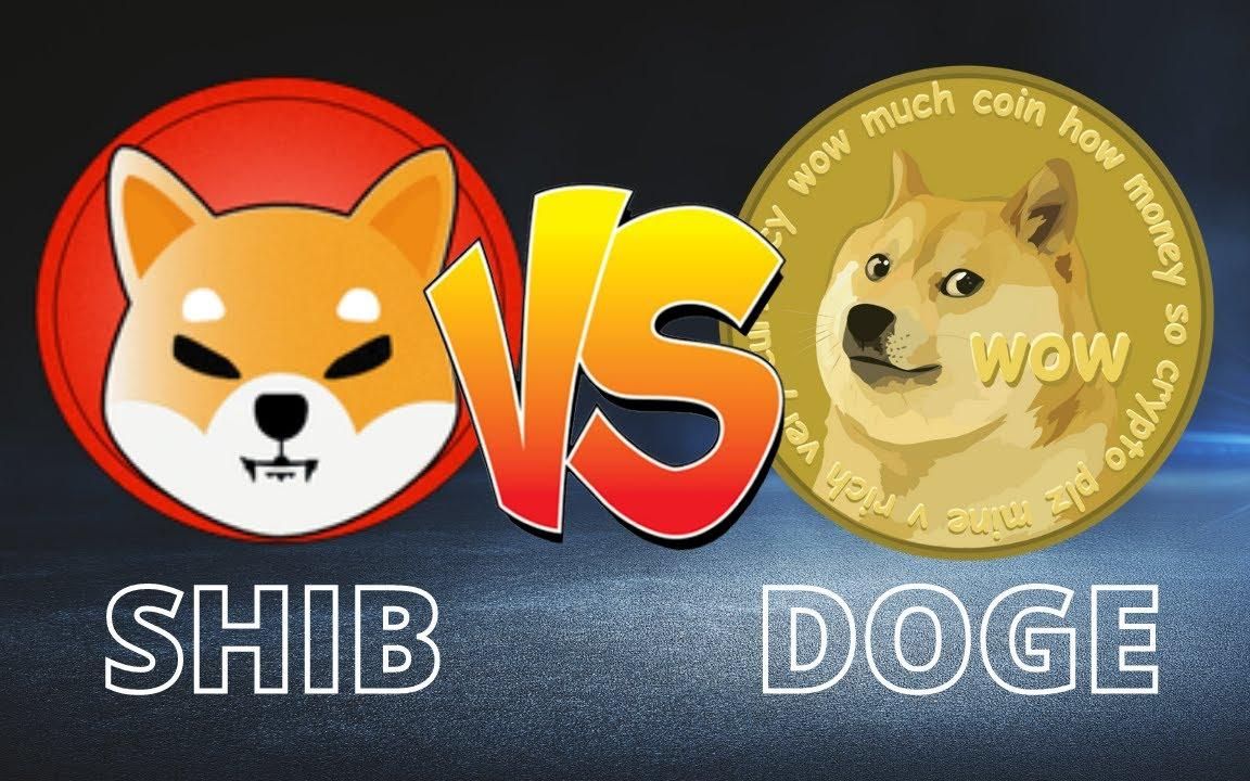 Shib狗币能买吗(shib币和狗狗币区别)