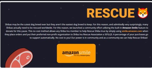 shib币和v神(shib币值不值得买)