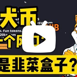 shib柴犬币(shiba inu柴犬币)