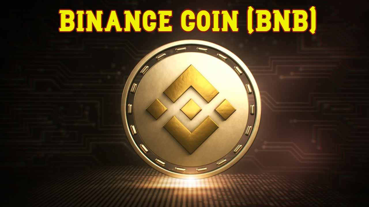 shib币印度交易所(印度coindcx交易所代币)