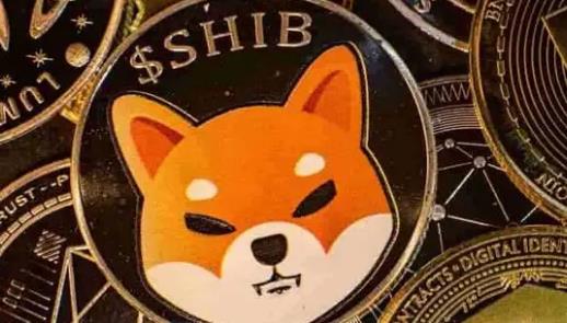 SHIB币持有有分红嘛(shib币到底有没有前景)