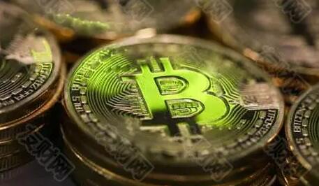 shib币讲解(shib币到底有没有前景)