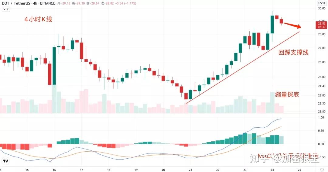 shib币最新价格今日行情(shib币价格今日行情币币情)