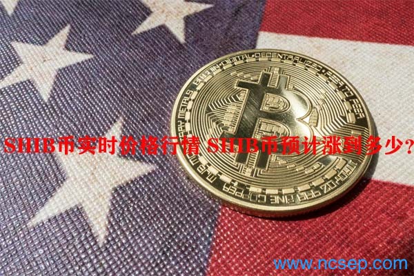 shib币减半吗(shib币还会跌吗)