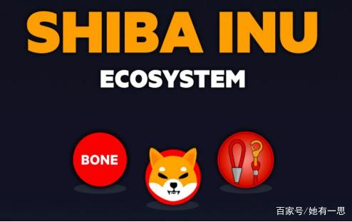 shib能超越狗狗币吗(shib币和狗狗币有关系吗)