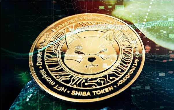 shib币能走多远(shib币能涨到1块钱吗)