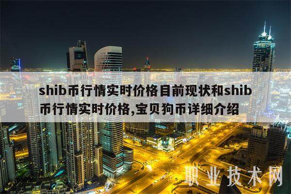 shib数字币(shib数字货币)