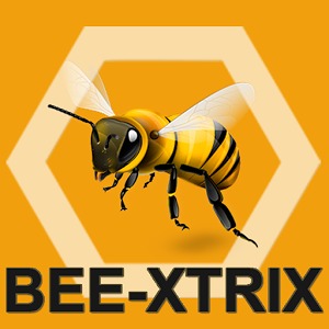 BeeX(beexpectedtodo等于什么) BeeX(beexpectedtodo等于什么)