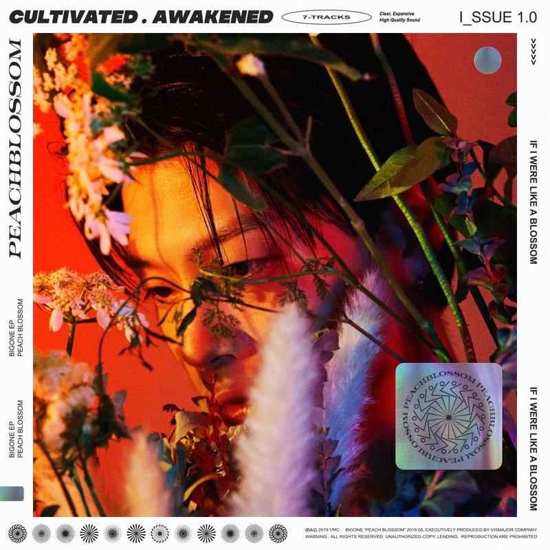 Bigone(bigone交易所平台网址)