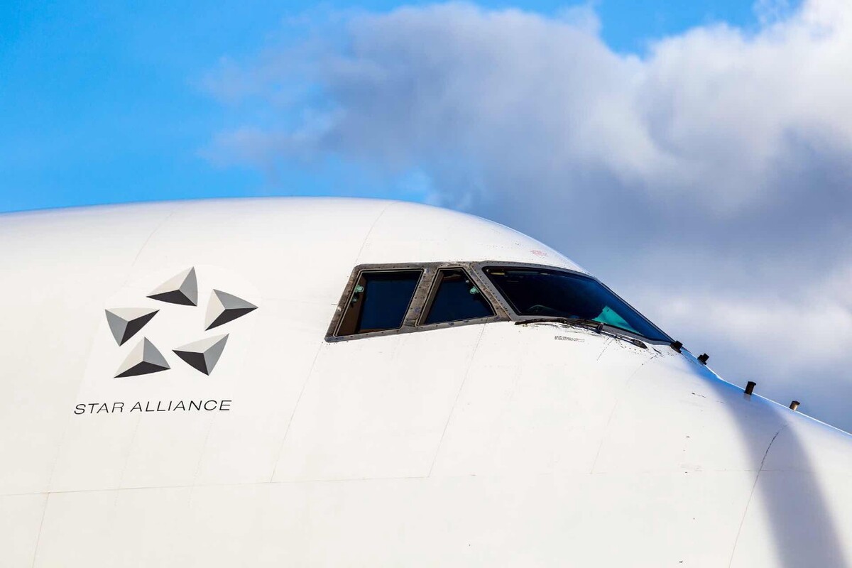 Bgogo(bgo工资多少)