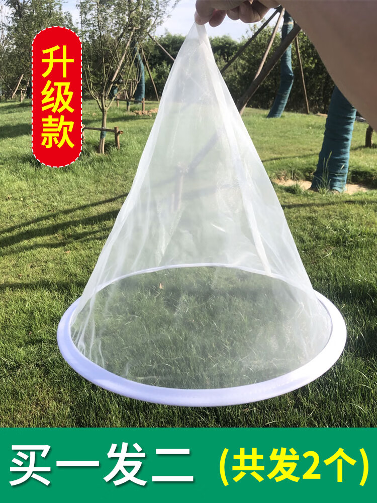 XT网(XT网交易所下载)