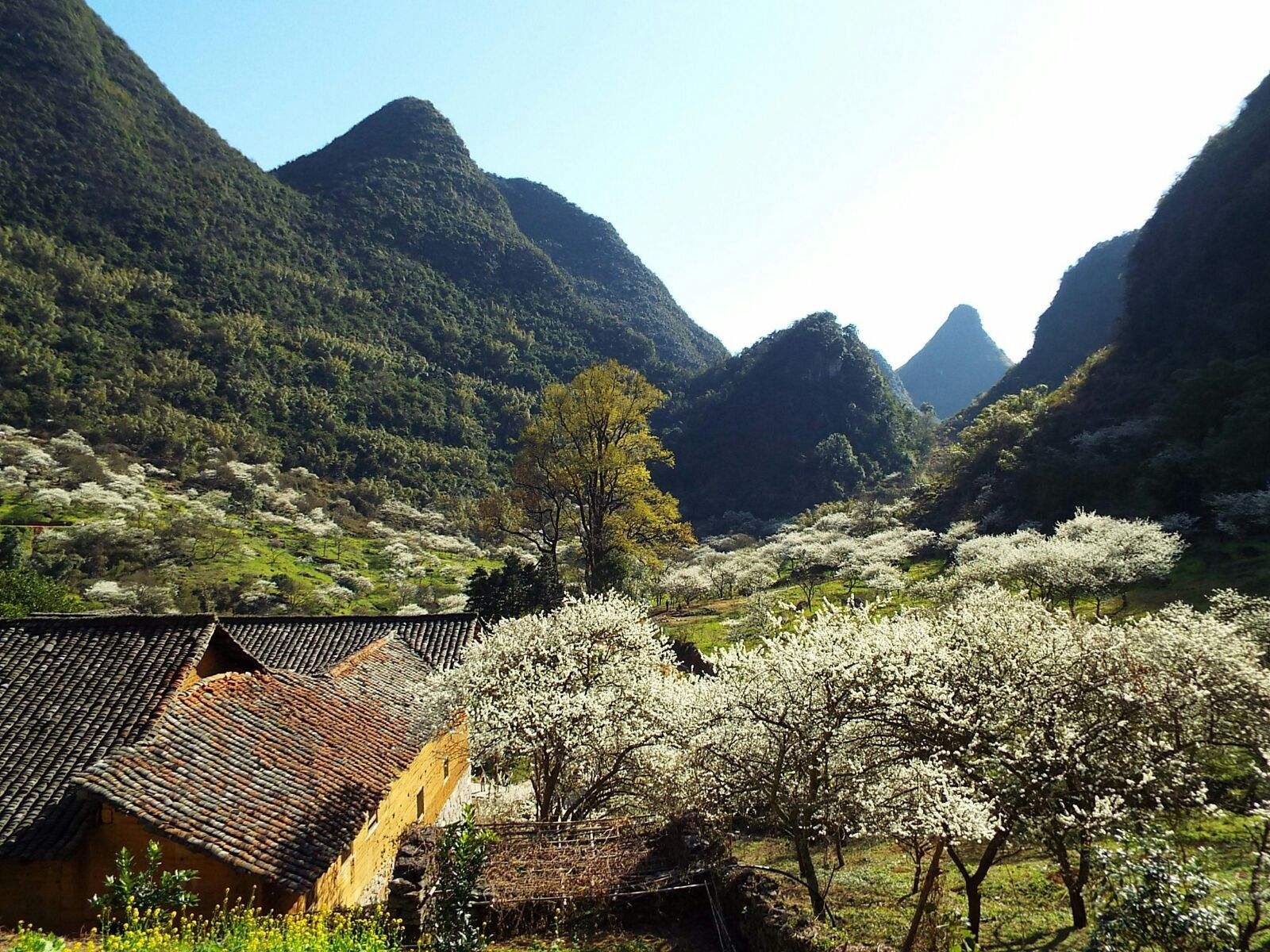 融安(融安天气预报15天)