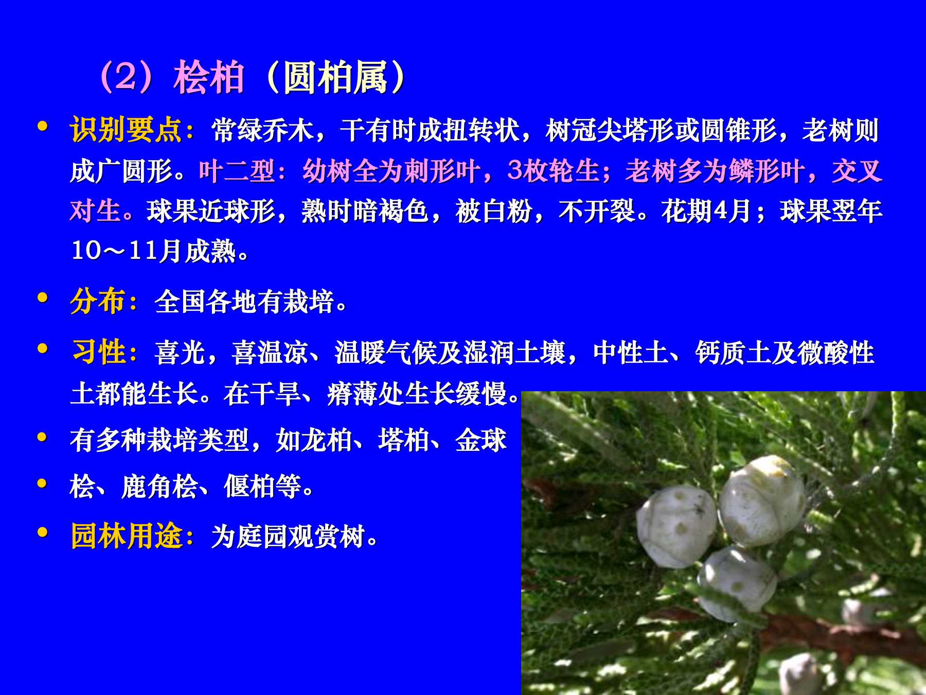 Bitzon(bitzon交易所)