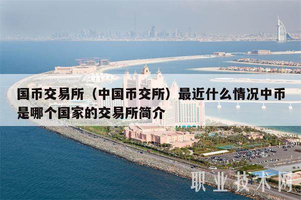 币交所(币交所连接不上怎么取钱)