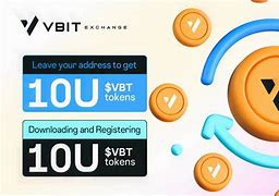 关于VBITEX的信息