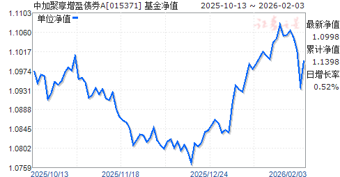 中加基金(洪娟 中加基金)