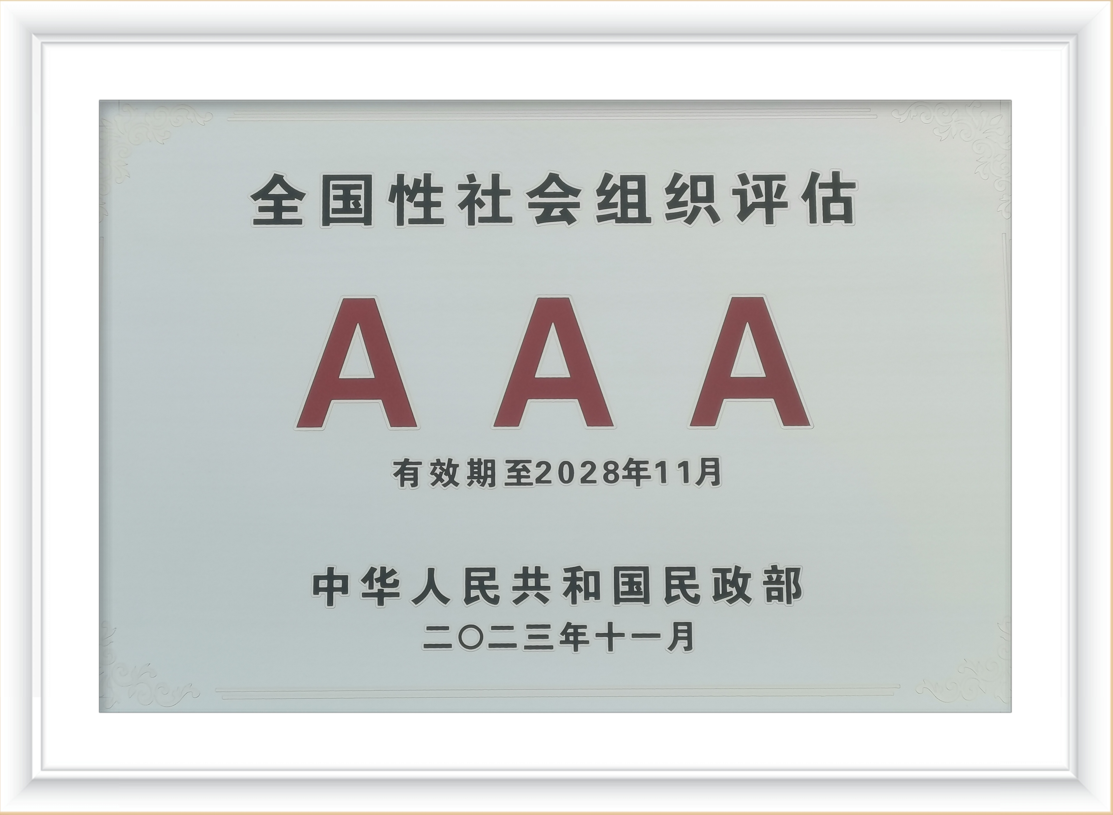 基金会(基金会是什么性质的组织)